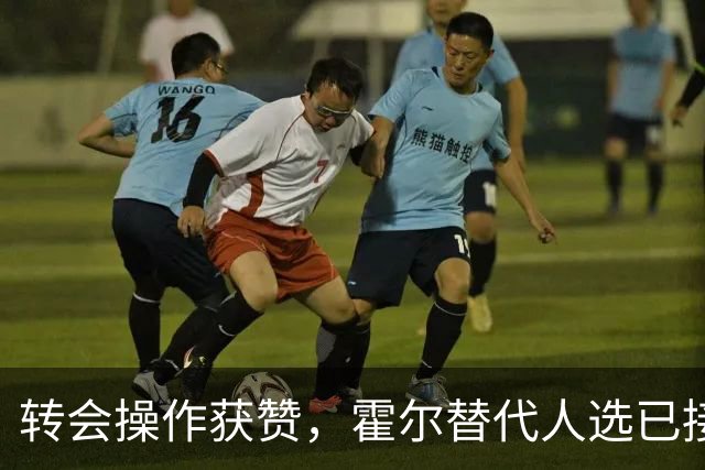 转会操作获赞，霍尔替代人选已接洽，3.19亿元转会被称“白菜价”