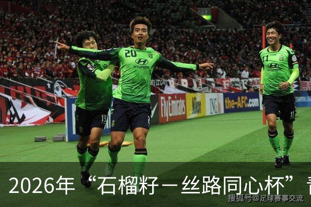 2026年“石榴籽－丝路同心杯”青少年足球邀请赛即将开赛